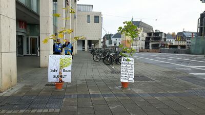 image from Bäume statt Beton – von unten bis oben mehr Grün in Karlsruhe!