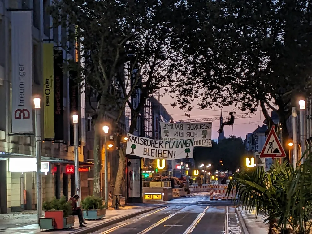 Früh morgens klettern Aktivist*innen zwischen den Platanen in der Kaiserstraße. Ein gespanntes Banner mit der Aufschrift „Karlsruher Platanen bleiben“ ist deutlich sichtbar.